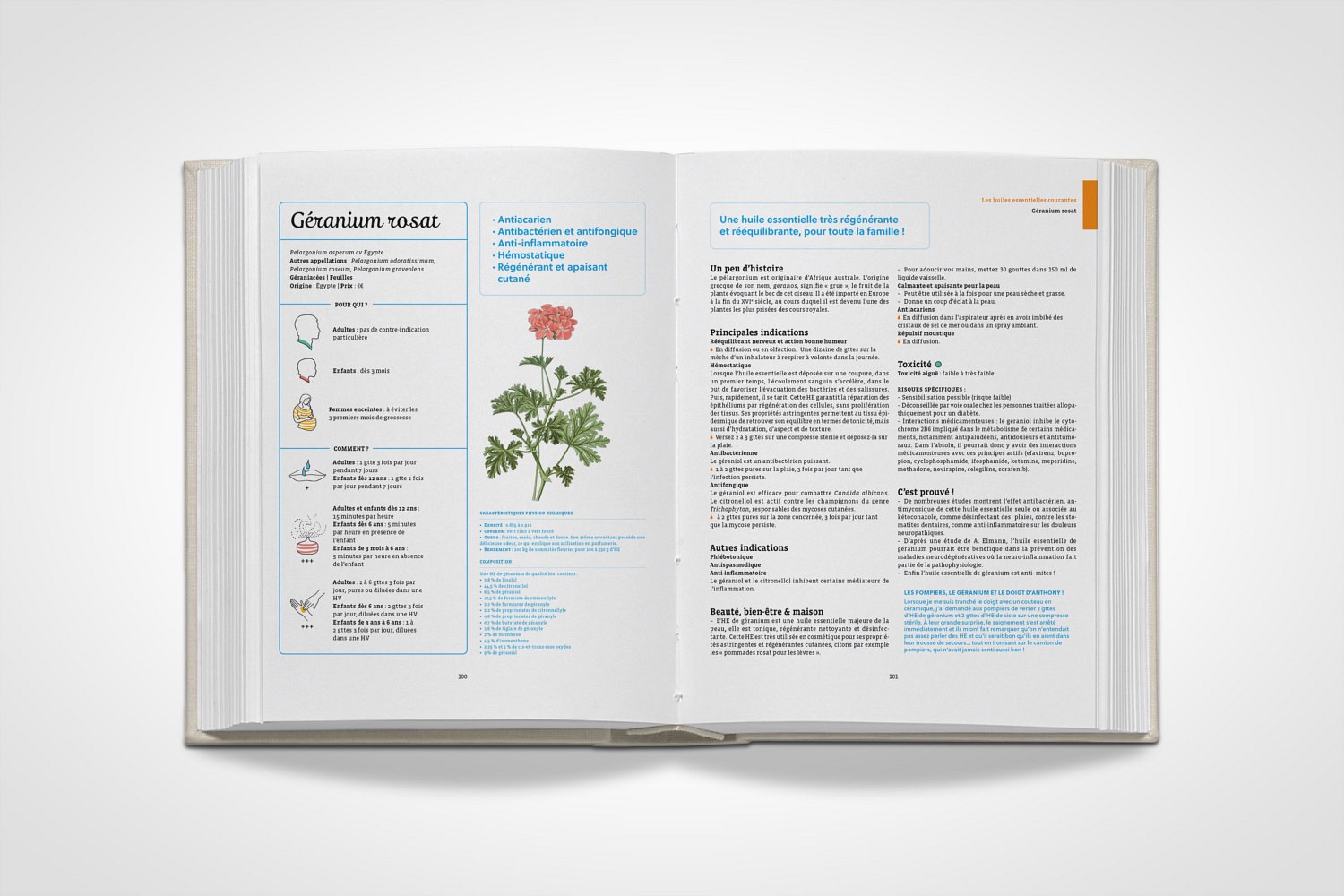 HuilesEssentielles_dp2 | Guide des Huiles essentielles - double page géranium rosat